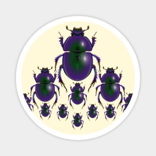 Scarab Beetles marching in formation Magnet